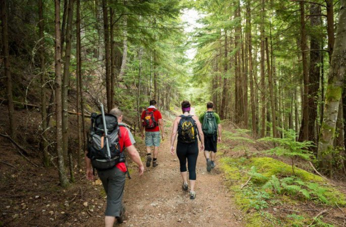 Doctors Explain How Hiking Actually Changes Our Brains